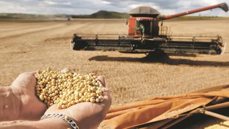 中國已下單 美國大豆期貨價格創 17個月新高的封面圖片