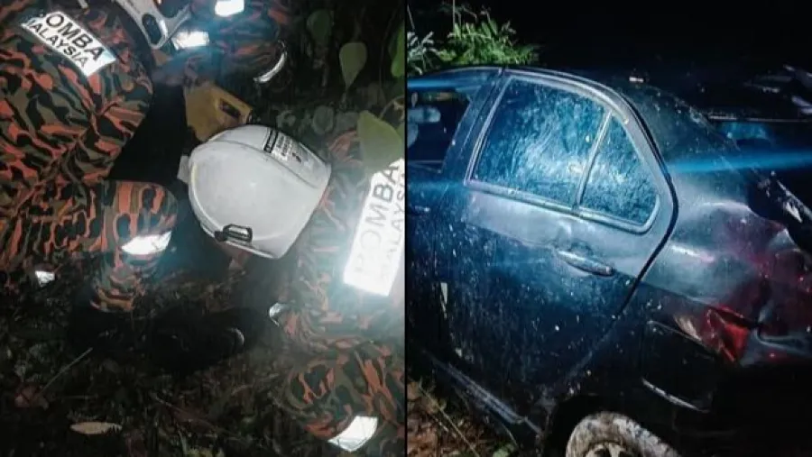 大馬5歲小象遭撞身亡！母象癡守7小時不離，車輛墜5公尺深谷釀重傷的封面圖片