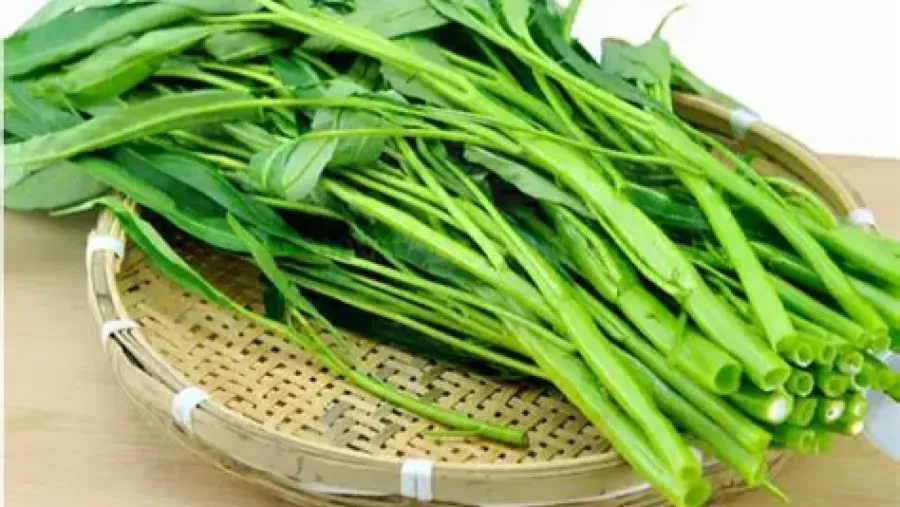 爲空心菜正名!「萬毒之王」「抽筋菜」的帽子該摘了!的封面圖片