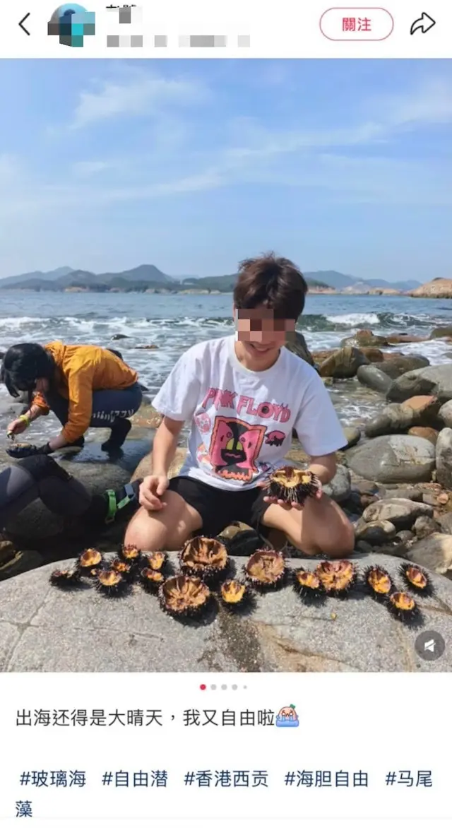有內地旅客疑在西貢火石洲海域潛水，採捕海膽食用並在社交平台「小紅書」發帖分享。（小紅書截圖）