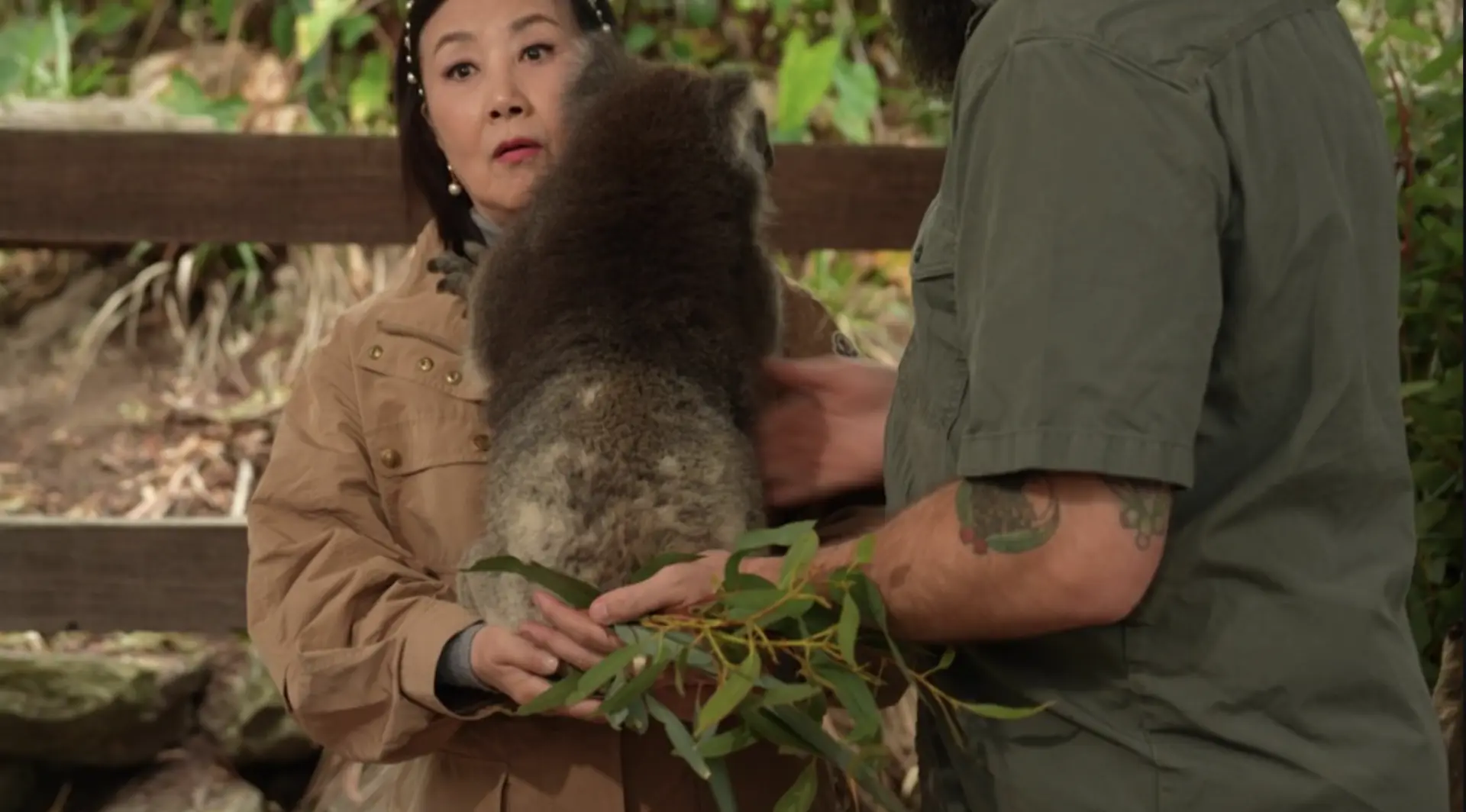 12 月 3 日晚播出的澳洲之旅最後一集將更為精彩。汪明荃與周嘉洛將走進動物園親近樹熊、袋鼠等可愛動物，阿姐被樹熊貼身擁抱時會露出「少少驚」的可愛神情。(圖：TVB)