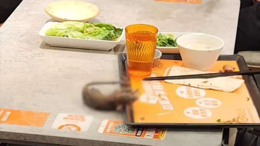 社交平台瘋傳照片 連鎖快餐店大快活「老鼠乾屍」從天而降的封面圖片