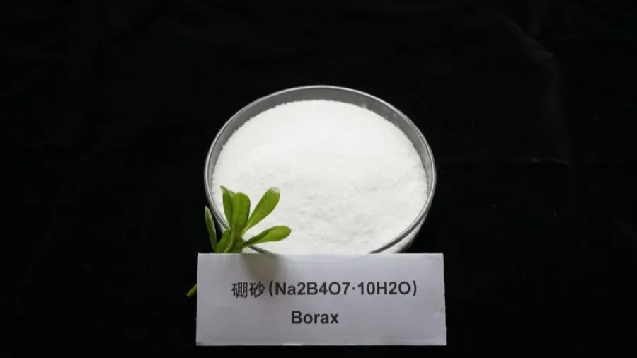 常吃的 5 種食物竟是硼砂重災區，千萬別踩坑的封面圖片