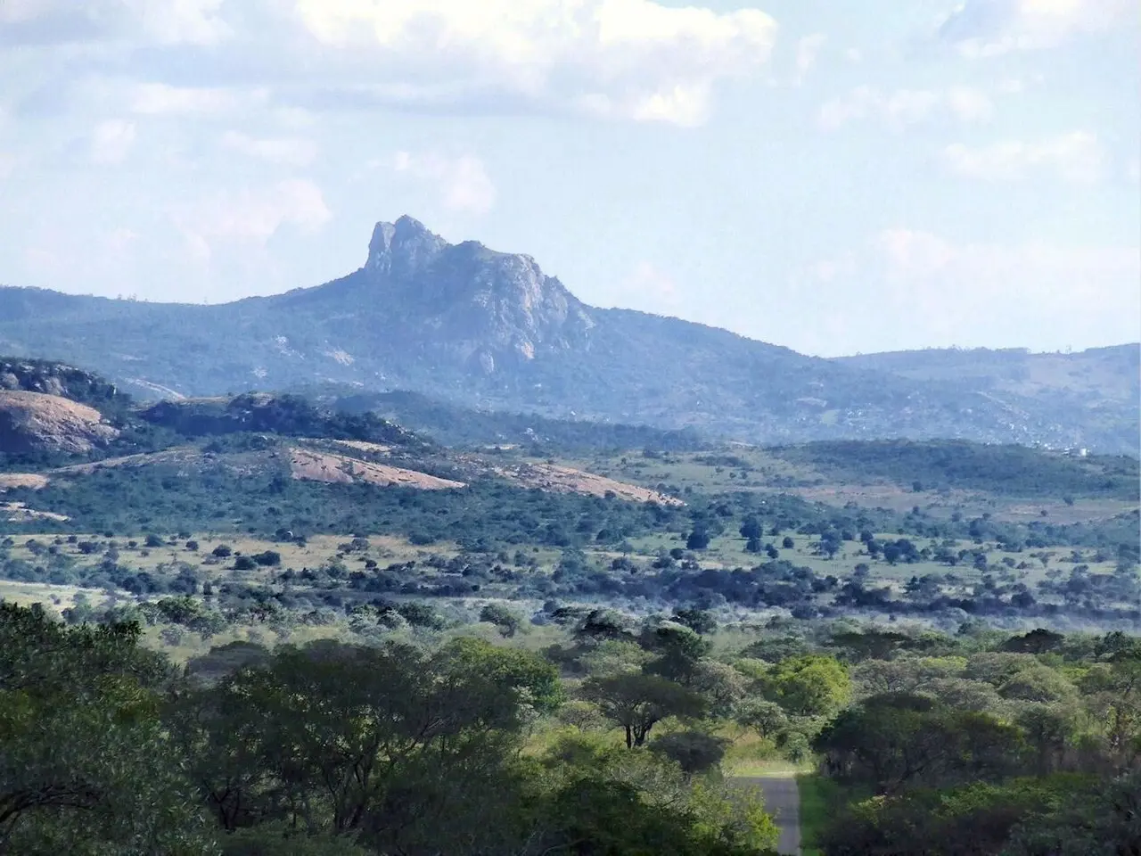南非克魯格國家公園（Kruger National Park）兩名盜獵者非法入侵獵捕白犀牛、盜取犀牛角牟利，其中一人尚未開槍，就遭棲息當地的大象群突襲踩踏致死，現場僅遺留衣物與大片血跡，倖存同夥逃離後已遭警方逮捕。（來源：wikipedia）