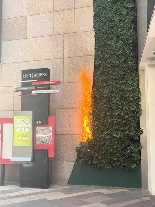 利舞台廣場外人造草墻起火，火勢猛烈。(馬路的事討論區)