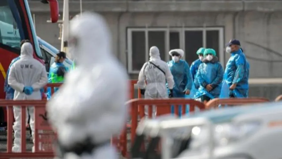 美國漢他病毒疫苗研發爭議 洪迪亞斯號郵輪疫情溯源受關注的封面圖片
