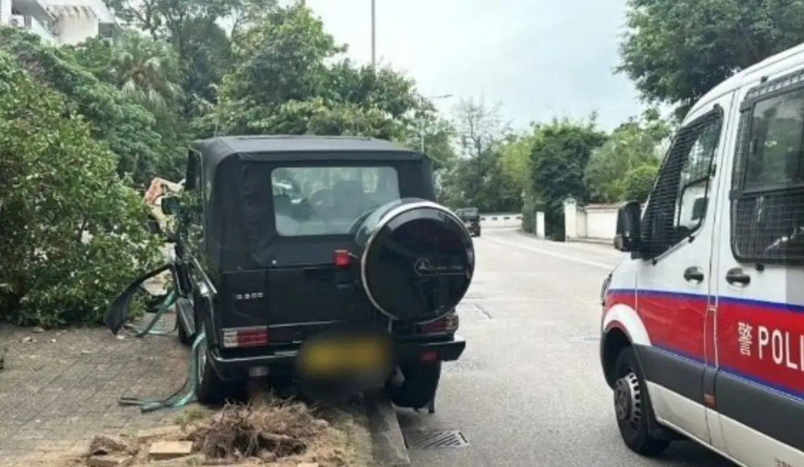 行至事故地點時，一隻狗隻突然從路邊竄出，為避免撞擊動物，陳可辛緊急轉向左方，導致車輛失控直撼左側鐵欄，隨後衝上行人路，撞斷一棵約 2 米高的樹木後才停下。(圖：網絡截圖)