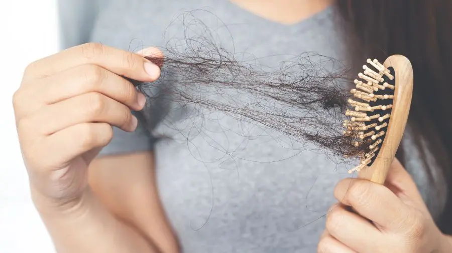 掉髮常是壓力、荷爾蒙、營養與頭皮健康的綜合警訊。