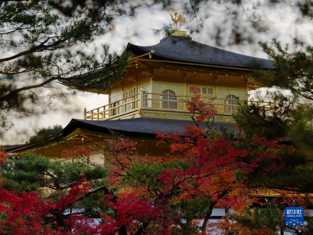 京都著名的金閣寺。（新華社）