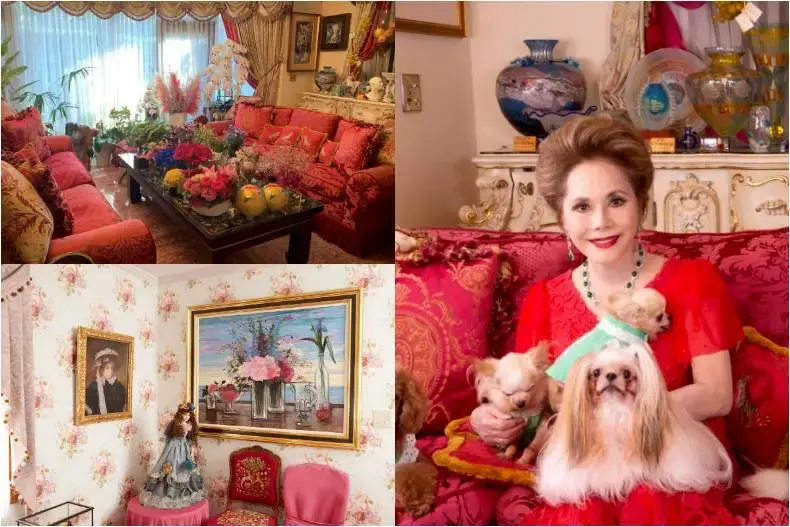 日本綜藝女星黛薇夫人涉傷害經紀人遭書類送檢，案由為愛犬死亡爭議。（示意圖來源：網絡）