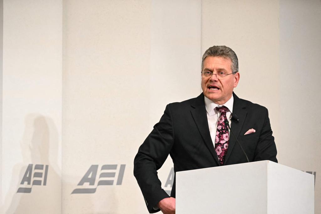 2月19日，歐盟委員會負責貿易和經濟安全等事務的委員馬羅什·謝夫喬維奇在美國首都華盛頓發表講話。（新華社）