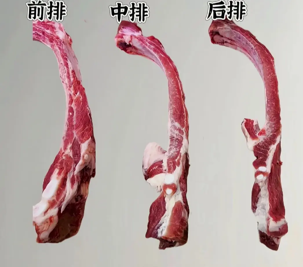 排骨分前排和後排，看似長得相似，口感和適合的做法卻天差地別，學會區分，做飯才不踩雷。（示意圖來源：小紅書網友）