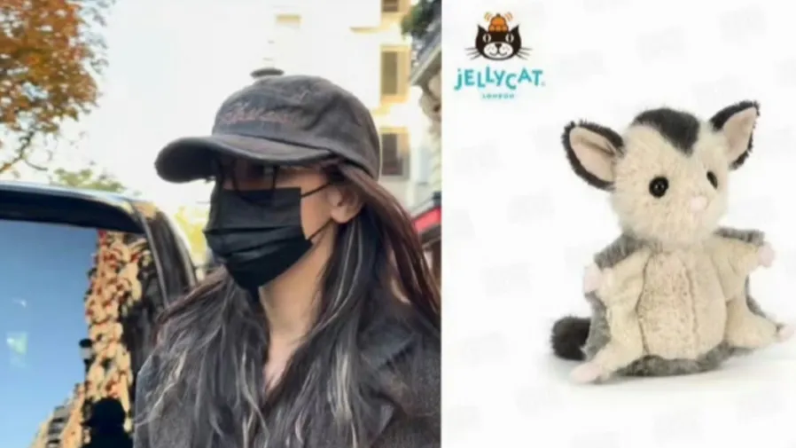 迪麗熱巴巴黎路透，西裝配Jellycat飛鼠，反差魅力動人的封面圖片