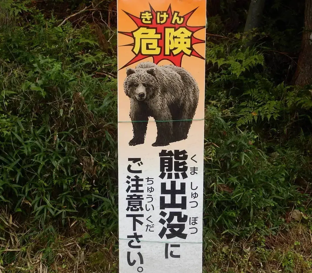 警方與當地狩獵協會人員於 4 日清晨重启搜尋，不僅在山頭設置獵熊陷阱，更動用警用直升機從上空偵查，通往現場的道路已拉起警戒線。​(圖片：網絡翻攝)
