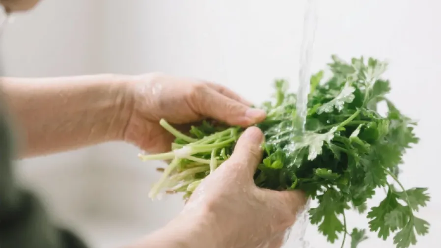 被罵成「血壓殺手」的香菜，居然藏著降壓潛力？的封面圖片