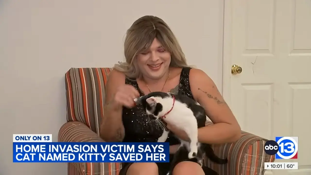 小貓咪Kitty竟敵兩持槍惡賊？美國女子遇劫全靠愛貓挺身護主！（視頻截圖來源： ABC13 Houston@YouTube）