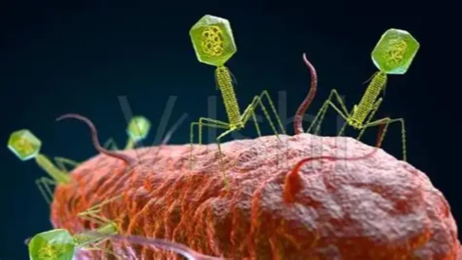 現代病毒難纏？原來億萬年前的天然免疫系統才是「救命關鍵」！的封面圖片