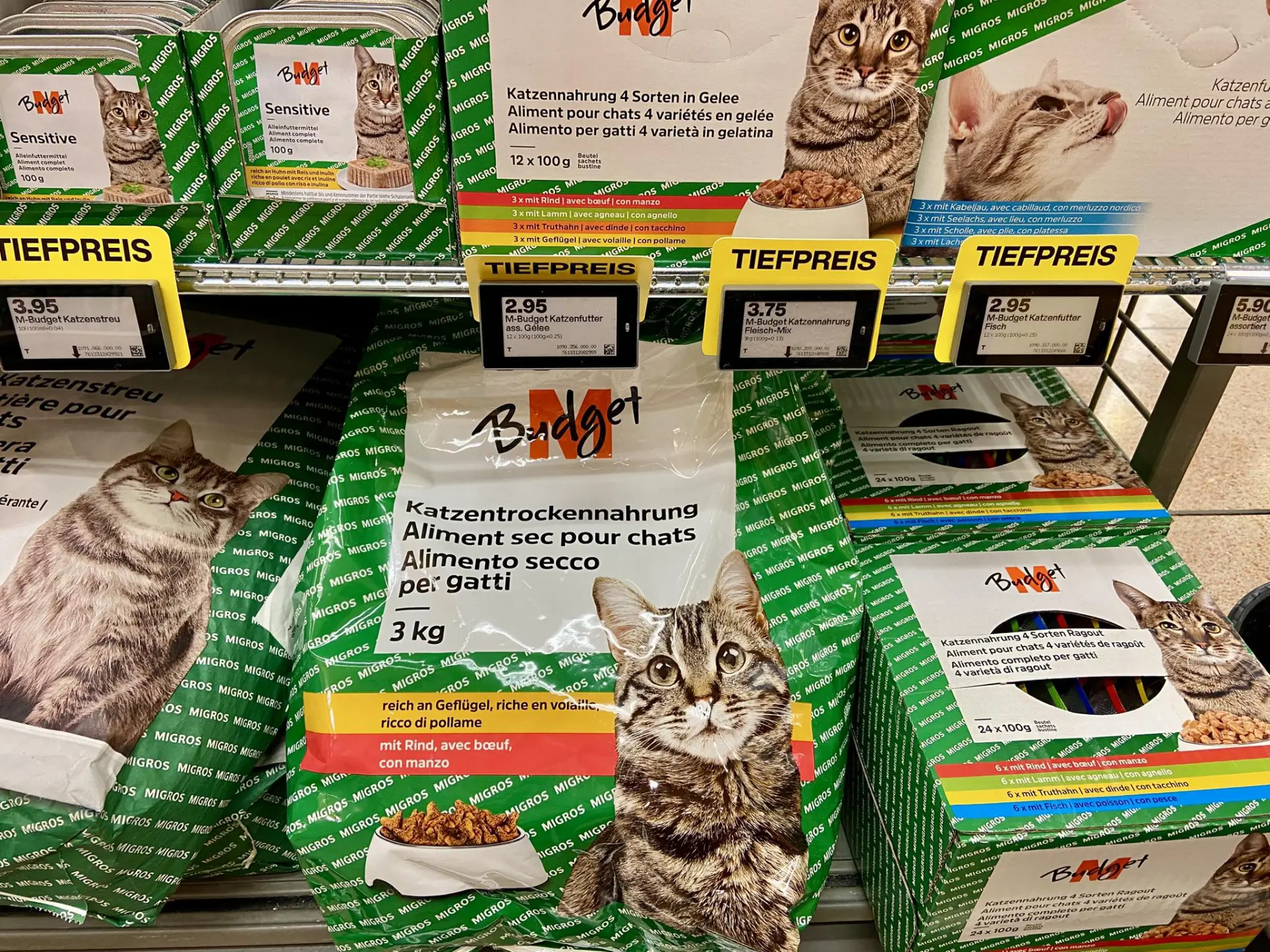 中國醫學博士生的省錢秘籍中，最受關注的便是以貓糧補充蛋白質，他解釋自己每天吃貓糧不超 200 克。(圖：網絡翻攝)