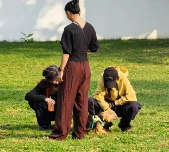 網友在北京奧森公園偶遇宋妍霏與竇靖童結伴遛狗，兩人穿搭休閒互動鬆弛。二人多次私下同框引發關係猜測，外界呼籲尊重藝人私領域，勿過度解讀路透畫面。（來源：新浪微博）