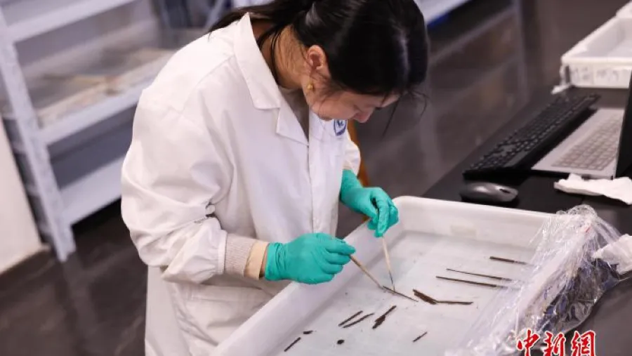 中國海昏侯墓挖出秦漢全本《詩經》，千年詩韻終得重見天日！的封面圖片