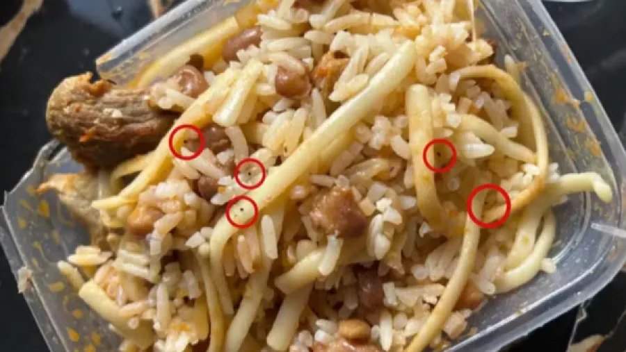 戀情遭阻竟痛下殺手？巴西17歲少女為何對父母下毒手？的封面圖片