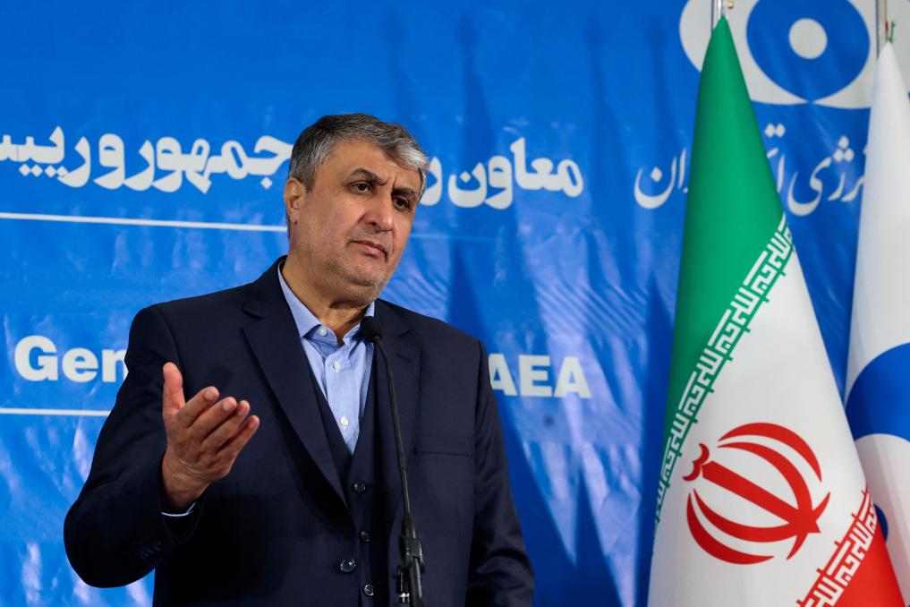伊朗原子能組織主席伊斯拉米資料圖片。新華社