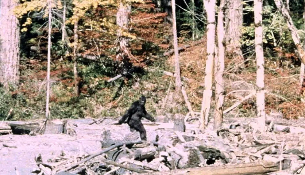 大腳怪（Bigfoot）是北美流傳已久的神秘傳說，民間描述牠是體型高大、全身覆蓋長毛的兩足野人，多年來不斷有目擊紀錄，卻始終沒有確鑿的實體證據。（來源：wikipedia）