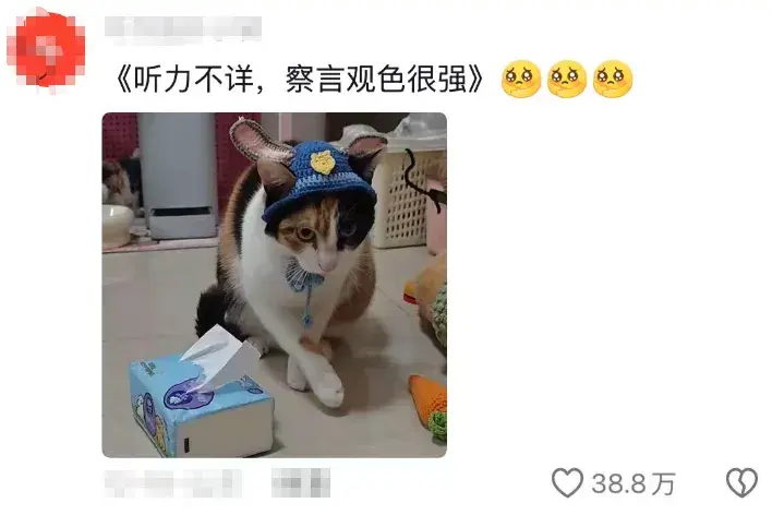 網友們的評論更是一語中的！（來源：網絡）