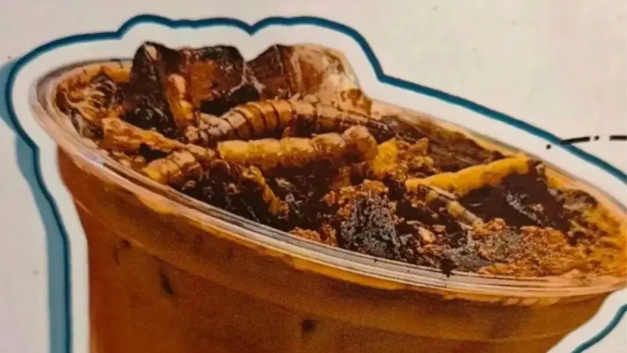 北京博物館推出蟑螂粉咖啡爆紅！廣東牛馬：完了，沖我來的的封面圖片