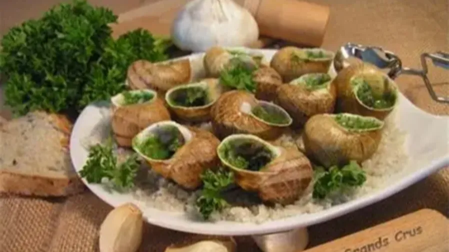 法國米其林主廚們的年末大餐要泡湯？價值9萬歐元蝸牛竟被一掃而空的封面圖片