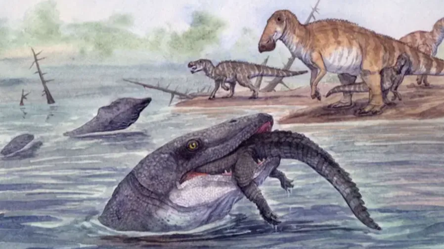 海中霸主的最後掙扎：滄龍闖入淡水謀生的封面圖片