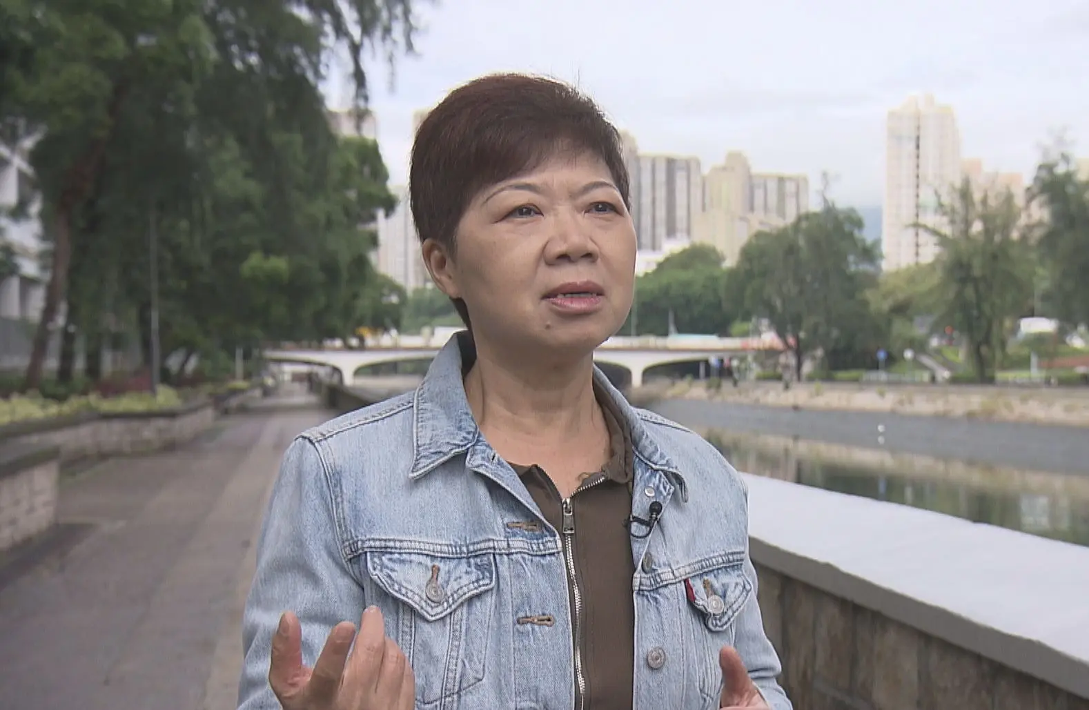 黃碧嬌早前多次以身體不適為由缺席區議會會議。她周六向民政事務總署發出書面通知，基於健康理由辭去區議員席位及關愛隊隊長職務等。(圖：網絡截圖)