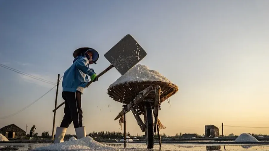 人類找鹽史竟從祖先沒誕生就開始？為何離不開這白白的顆粒？的封面圖片