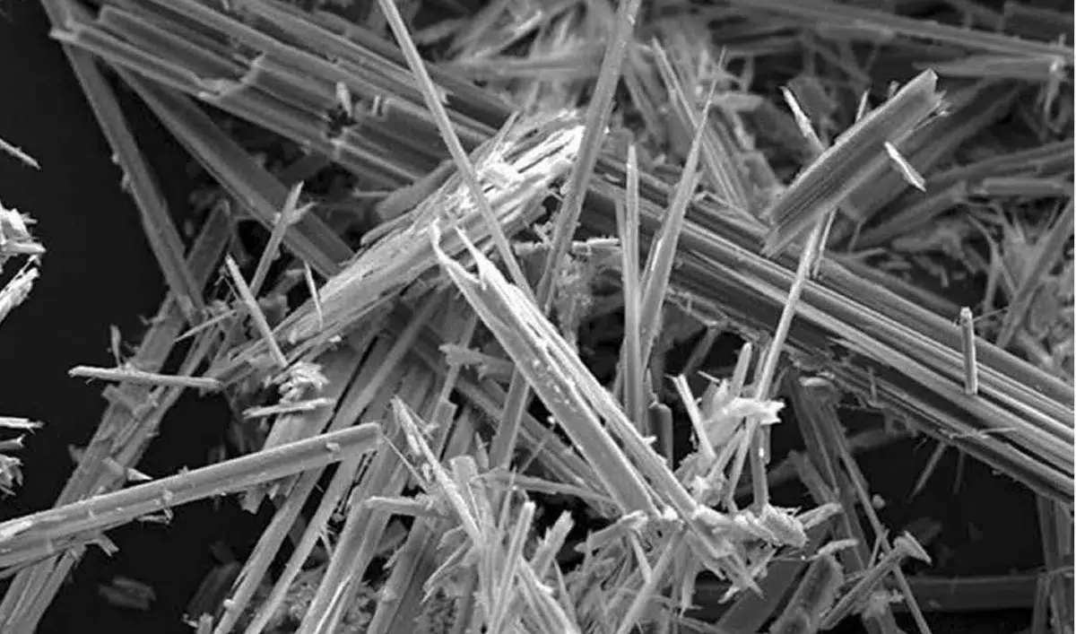 石棉的纖維細到肉眼看不見，吸入體內排不出去，堆在肺裡慢慢讓細胞死亡，引發石棉肺、肺癌，甚至間皮瘤，而且致癌潛伏期長達20年！（示意圖來源：zh-cn.renovablesverdes）