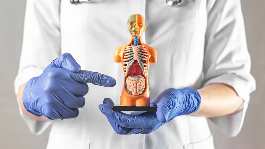 空氣污染對全⾝的器官和系統都 有不良的影響