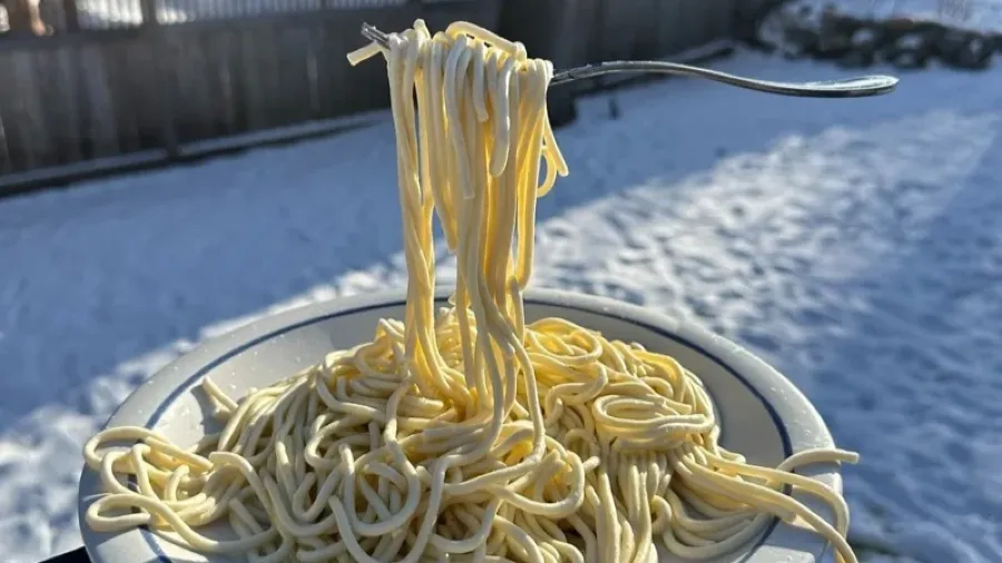 體感-43°C的美國，義大利麵一叉就凍，廁紙居然能站著？！的封面圖片