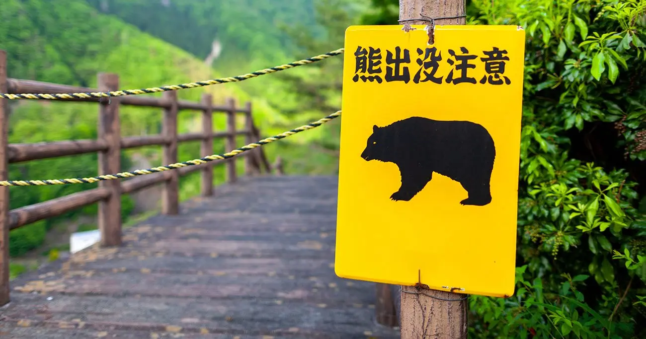 岩手縣可謂熊襲重災區,截至 10 月 27 日已累計 5 人喪命。最新慘案發生在一關市嚴美町,67 歲獨居男子佐藤富雄與愛犬倒臥自家花園,兩者身上均有清晰咬痕與爪痕,疑遭熊襲當場身亡。(圖:網絡翻攝)