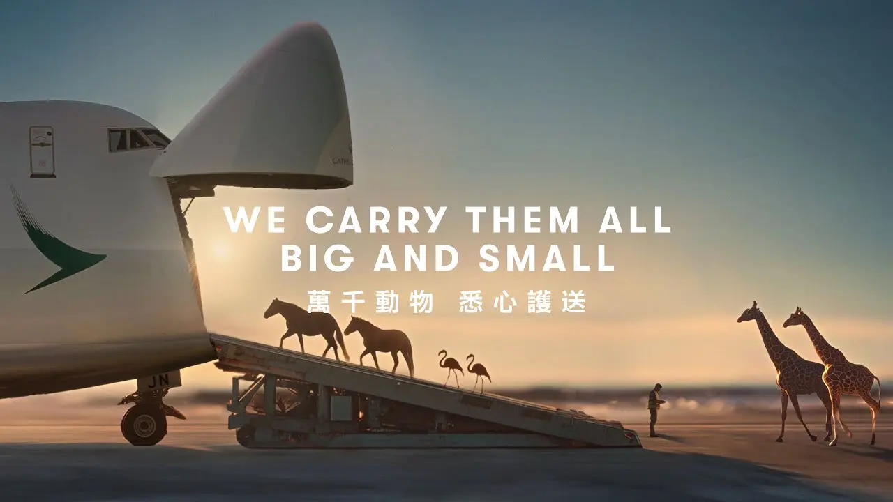 從專業角度看，這其實是一項把動物福利、飛行運作、地面服務、清關協調、獸醫支援與演出時間表精準整合的跨境供應鏈工程。(圖：國泰航空)
