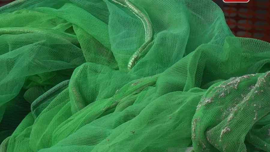 大埔宏福苑5級火｜175幢私人樓宇棚網已移除　3幢申請額外時間　的封面圖片