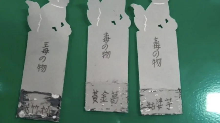 長期性騷擾求助無門，台灣4名女童竟自製黃金葛汁「教訓」男同學的封面圖片