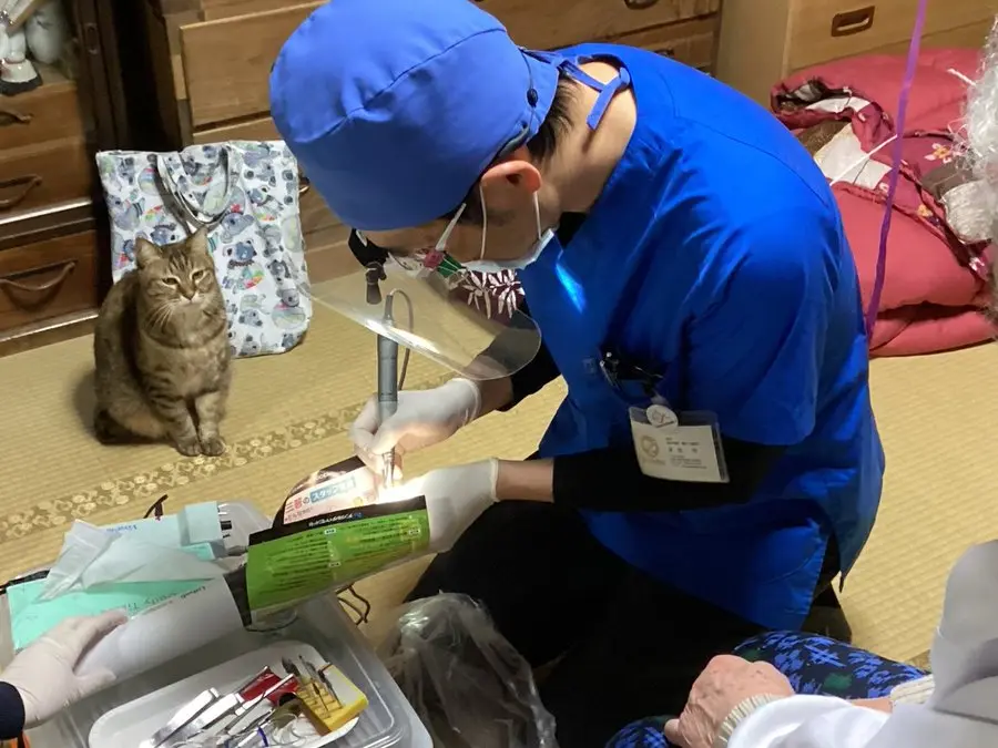 日本貓之日期間，一位到上門醫生看診時遭虎斑貓全程嚴肅監督，直呼壓力超大。貓咪護主模樣萌翻網友，貼文爆紅獲250萬瀏覽，成為最暖貓皇故事。（來源：sadodentist@X）