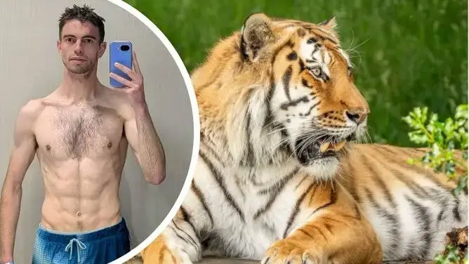 英國南約克郡野生動物園發生老虎襲擊致死事件，死者確認為23歲前童星威廉．查普曼（William Chapman），曾出演BBC節目，長年受精神疾病困擾，園區已停業，當局展開安全調查。（截圖來源：PerthNow）