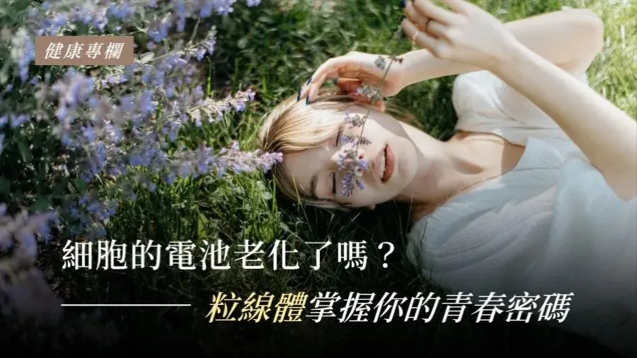 你細胞的電池老化了嗎？的封面圖片
