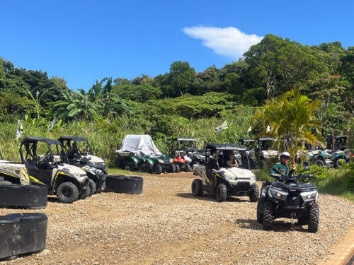 2025 年 7 月 25 日，叢林沖繩（JUNGLIA OKINAWA）盛大開幕。園內設施豐富，有恐龍主題冒險、越野車體驗、高空熱氣球等，更有特色餐廳，為遊客帶來驚喜不斷的奇妙之旅。（來源：あとなびマガジン）