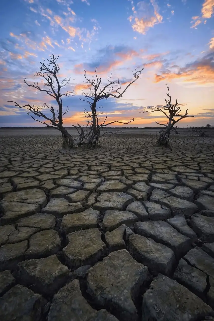 中國已進入拉尼娜（La Niña）狀態，但此狀態不等同於拉尼娜事件。受其影響，華東、華南等地水汽輸送受阻，專家預警可能出現冬春連旱。（示意圖來源：小紅書網友）