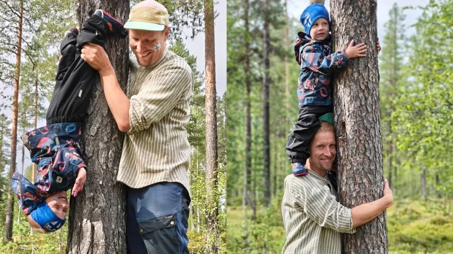 芬蘭父子靠「抱樹」奪世界冠軍?的封面圖片