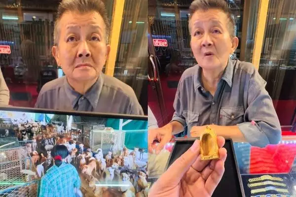 泰國億萬女富豪蒂姆阿嬤曾月入2000萬泰銖，遭員工侵吞資產破產後，耗盡積蓄、變賣珍藏黃金，二十年如一日守護1700多隻流浪貓狗，溫暖善舉感動全泰民眾。（來源：tiktok）