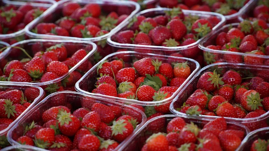 草莓保鮮大揭秘！超市貨的「超強生命力」，到底藏了什麼玄機？的封面圖片