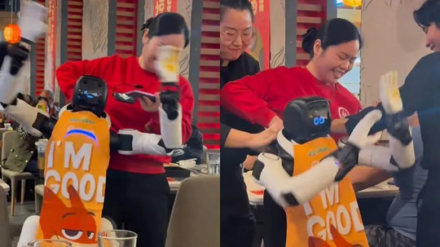 美國加州海底撈機器人突暴走，狂舞掀桌三名店員攔不住的封面圖片