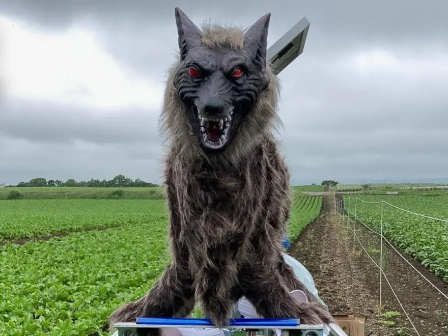 曾遭嘲笑的「怪獸狼」（Monster Wolf）憑紅眼、50種聲響成神器，查詢量翻倍，還引海外問詢。